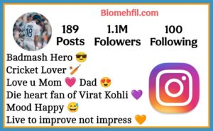 Instagram Bio For Cricket Lovers 