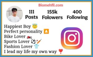 Bio For Instagram For Boys 