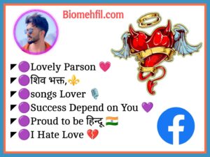 Facebook Bio For Boys 