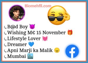 Facebook Bio For Boys Attitude 