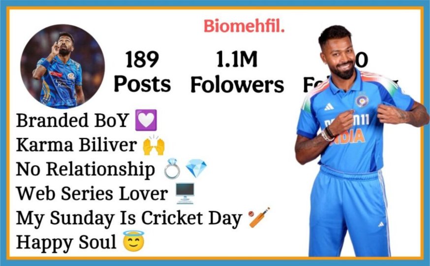 Instagram Bio For Cricket Lovers