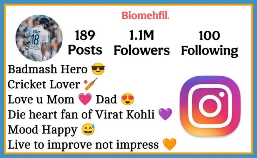 Instagram Bio For Cricket Lovers
