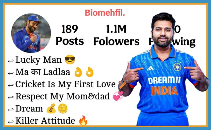 Instagram Bio For Cricket Lovers